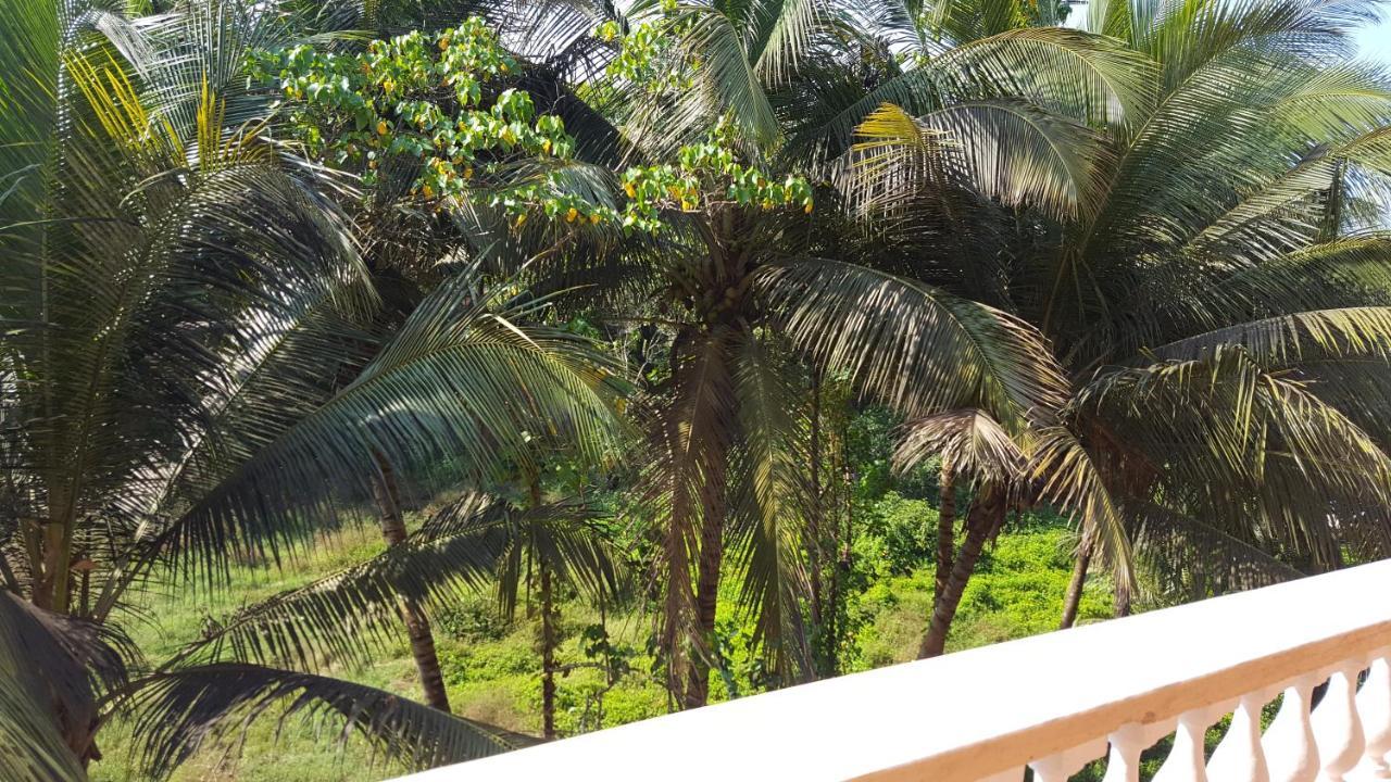 Coconut Grove Residency Orlim